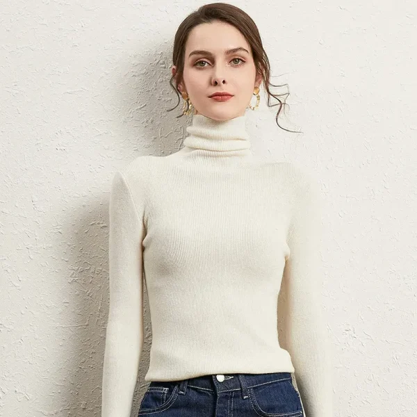 Autumn Winter Women Fashion Solid Color High Neck Long Sleeve Knitted Sweater