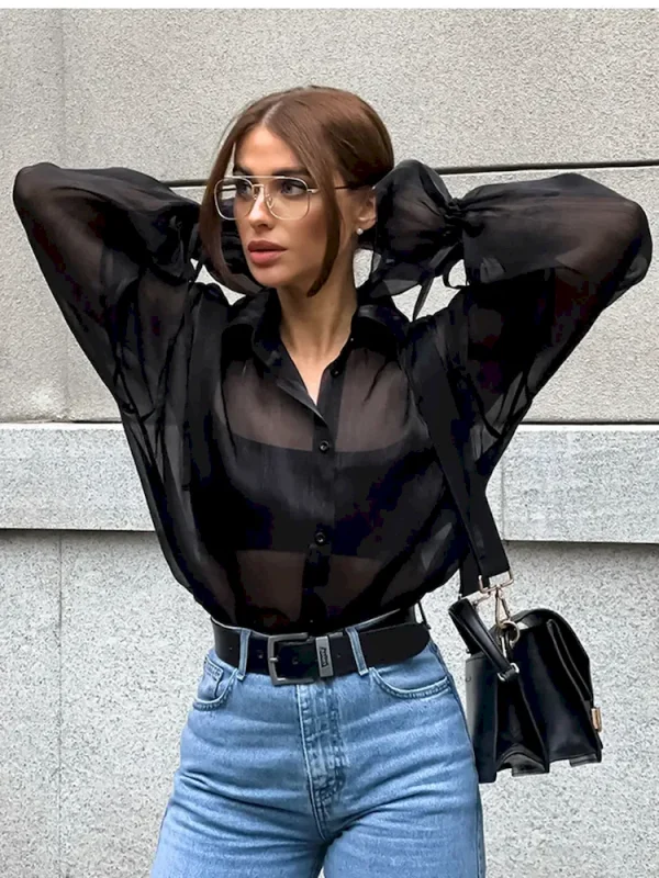 Women Fashion Mesh Perspective Loose Lantern Sleeve Shirt - Image 3