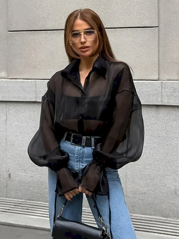 Women Fashion Mesh Perspective Loose Lantern Sleeve Shirt - Image 4
