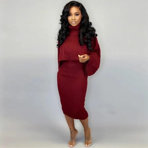 Autumn Winter Women Fashion High Collar Long Sleeve Sweater Dress Set - Image 6